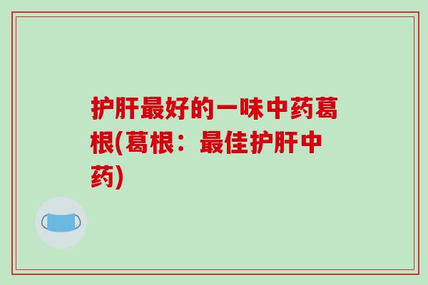 护肝最好的一味中药葛根(葛根:最佳护肝中药)-第1张图片-破壁灵芝孢子粉研究指南 护肝最好的一味中药葛根(葛根:最佳护肝中药)-第1张图片-破壁灵芝孢子粉研究指南