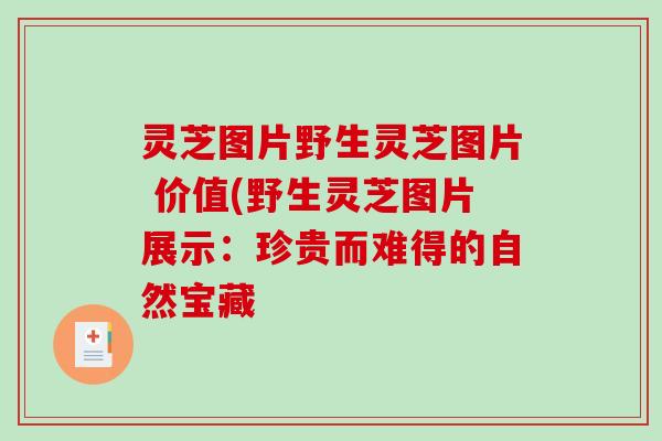 灵芝图片野生灵芝图片 价值(野生灵芝图片展示:珍贵而难得的自然宝藏-第1张图片-破壁灵芝孢子粉研究指南 灵芝图片野生灵芝图片 价值(野生灵芝图片展示:珍贵而难得的自然宝藏-第1张图片-破壁灵芝孢子粉研究指南