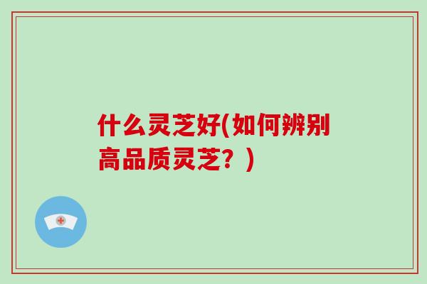 什么灵芝好(如何辨别高品质灵芝?)-第1张图片-破壁灵芝孢子粉研究指南 什么灵芝好(如何辨别高品质灵芝?)-第1张图片-破壁灵芝孢子粉研究指南