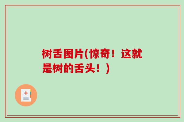 树舌图片(惊奇!这就是树的舌头!)-第1张图片-破壁灵芝孢子粉研究指南 树舌图片(惊奇!这就是树的舌头!)-第1张图片-破壁灵芝孢子粉研究指南
