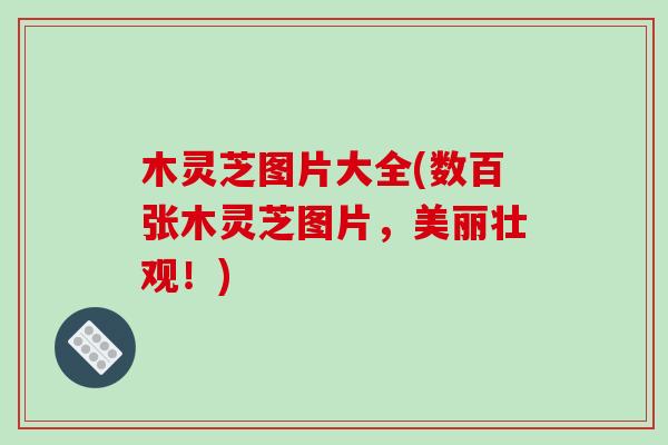 木灵芝图片大全(数百张木灵芝图片,美丽壮观!)-第1张图片-破壁灵芝孢子粉研究指南 木灵芝图片大全(数百张木灵芝图片,美丽壮观!)-第1张图片-破壁灵芝孢子粉研究指南