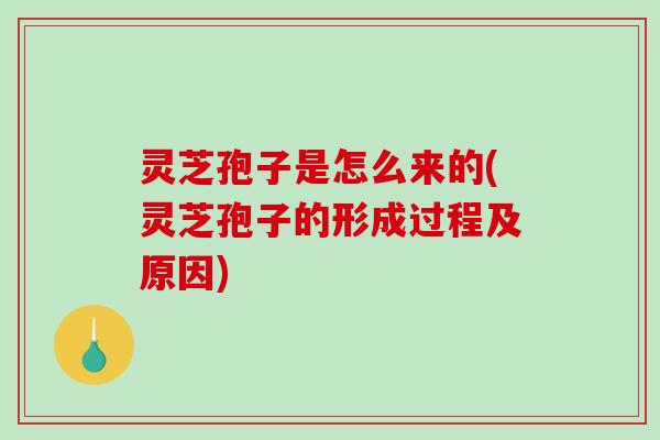灵芝孢子是怎么来的(灵芝孢子的形成过程及原因)-第1张图片-破壁灵芝孢子粉研究指南 灵芝孢子是怎么来的(灵芝孢子的形成过程及原因)-第1张图片-破壁灵芝孢子粉研究指南