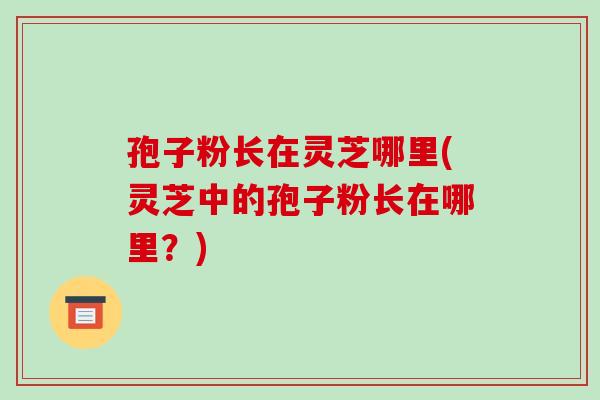 孢子粉长在灵芝哪里(灵芝中的孢子粉长在哪里?)-第1张图片-破壁灵芝孢子粉研究指南 孢子粉长在灵芝哪里(灵芝中的孢子粉长在哪里?)-第1张图片-破壁灵芝孢子粉研究指南