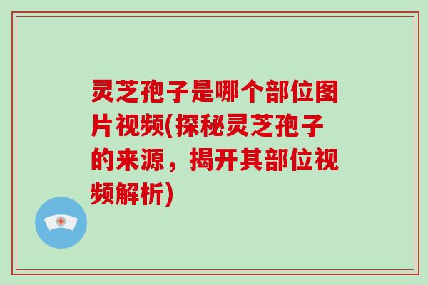 灵芝孢子是哪个部位图片视频(探秘灵芝孢子的来源,揭开其部位视频解析)-第1张图片-破壁灵芝孢子粉研究指南 灵芝孢子是哪个部位图片视频(探秘灵芝孢子的来源,揭开其部位视频解析)-第1张图片-破壁灵芝孢子粉研究指南