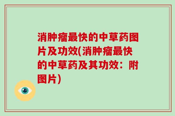 消肿瘤最快的中草药图片及功效(消肿瘤最快的中草药及其功效:附图片)-第1张图片-破壁灵芝孢子粉研究指南 消肿瘤最快的中草药图片及功效(消肿瘤最快的中草药及其功效:附图片)-第1张图片-破壁灵芝孢子粉研究指南