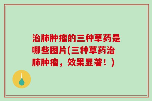 治肺肿瘤的三种草药是哪些图片(三种草药治肺肿瘤,效果显著!)-第1张图片-破壁灵芝孢子粉研究指南 治肺肿瘤的三种草药是哪些图片(三种草药治肺肿瘤,效果显著!)-第1张图片-破壁灵芝孢子粉研究指南