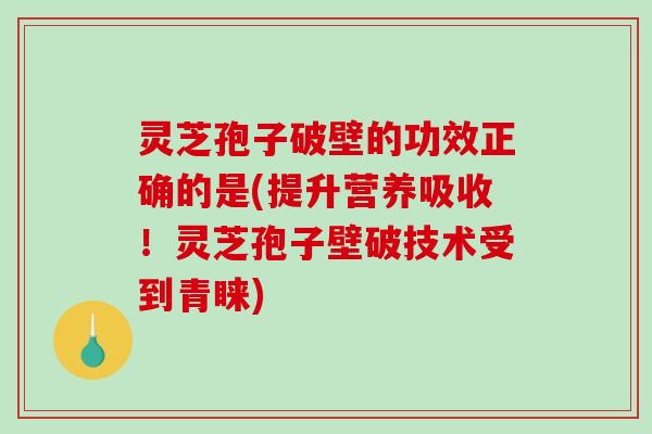 灵芝孢子破壁的功效正确的是(提升营养吸收!灵芝孢子壁破技术受到青睐)-第1张图片-破壁灵芝孢子粉研究指南 灵芝孢子破壁的功效正确的是(提升营养吸收!灵芝孢子壁破技术受到青睐)-第1张图片-破壁灵芝孢子粉研究指南
