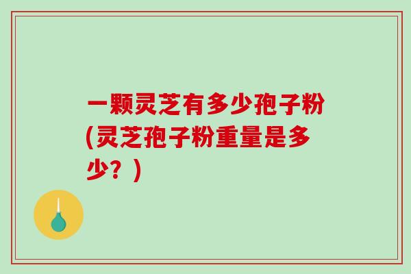 一颗灵芝有多少孢子粉(灵芝孢子粉重量是多少?)-第1张图片-破壁灵芝孢子粉研究指南 一颗灵芝有多少孢子粉(灵芝孢子粉重量是多少?)-第1张图片-破壁灵芝孢子粉研究指南