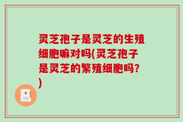 灵芝孢子是灵芝的生殖细胞嘛对吗(灵芝孢子是灵芝的繁殖细胞吗?)-第1张图片-破壁灵芝孢子粉研究指南 灵芝孢子是灵芝的生殖细胞嘛对吗(灵芝孢子是灵芝的繁殖细胞吗?)-第1张图片-破壁灵芝孢子粉研究指南