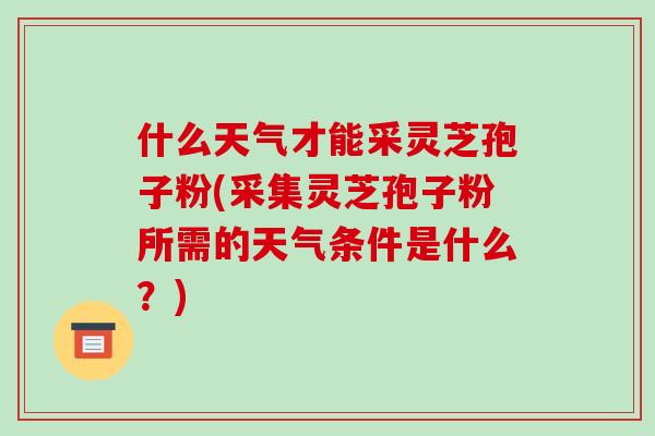 什么天气才能采灵芝孢子粉(采集灵芝孢子粉所需的天气条件是什么?)-第1张图片-破壁灵芝孢子粉研究指南 什么天气才能采灵芝孢子粉(采集灵芝孢子粉所需的天气条件是什么?)-第1张图片-破壁灵芝孢子粉研究指南