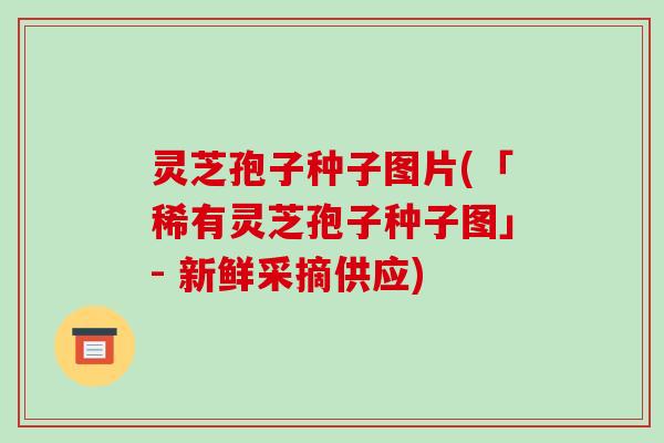 灵芝孢子种子图片(「稀有灵芝孢子种子图」- 新鲜采摘供应)-第1张图片-破壁灵芝孢子粉研究指南 灵芝孢子种子图片(「稀有灵芝孢子种子图」- 新鲜采摘供应)-第1张图片-破壁灵芝孢子粉研究指南