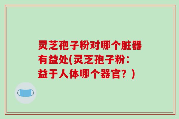 灵芝孢子粉对哪个脏器有益处(灵芝孢子粉：益于人体哪个器官？)-第1张图片-破壁灵芝孢子粉研究指南