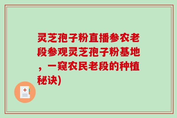 灵芝孢子粉直播参农老段参观灵芝孢子粉基地,一窥农民老段的种植秘诀)-第1张图片-破壁灵芝孢子粉研究指南 灵芝孢子粉直播参农老段参观灵芝孢子粉基地,一窥农民老段的种植秘诀)-第1张图片-破壁灵芝孢子粉研究指南