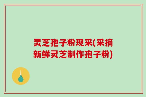 灵芝孢子粉现采(采摘新鲜灵芝制作孢子粉)-第1张图片-破壁灵芝孢子粉研究指南 灵芝孢子粉现采(采摘新鲜灵芝制作孢子粉)-第1张图片-破壁灵芝孢子粉研究指南