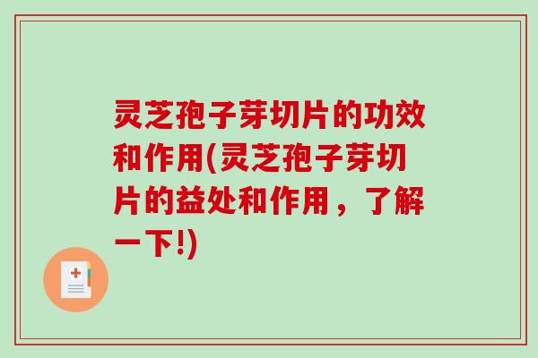 灵芝孢子芽切片的功效和作用(灵芝孢子芽切片的益处和作用,了解一下!)-第1张图片-破壁灵芝孢子粉研究指南 灵芝孢子芽切片的功效和作用(灵芝孢子芽切片的益处和作用,了解一下!)-第1张图片-破壁灵芝孢子粉研究指南