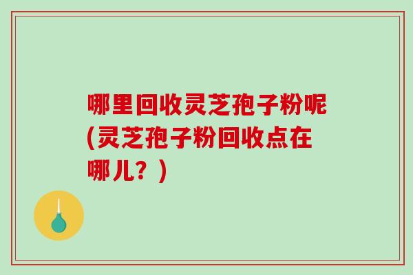 哪里回收灵芝孢子粉呢(灵芝孢子粉回收点在哪儿?)-第1张图片-破壁灵芝孢子粉研究指南 哪里回收灵芝孢子粉呢(灵芝孢子粉回收点在哪儿?)-第1张图片-破壁灵芝孢子粉研究指南