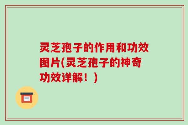 灵芝孢子的作用和功效图片(灵芝孢子的神奇功效详解!)-第1张图片-破壁灵芝孢子粉研究指南 灵芝孢子的作用和功效图片(灵芝孢子的神奇功效详解!)-第1张图片-破壁灵芝孢子粉研究指南