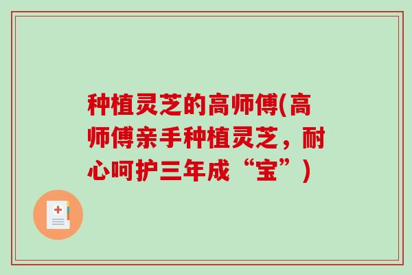 种植灵芝的高师傅(高师傅亲手种植灵芝,耐心呵护三年成“宝”)-第1张图片-破壁灵芝孢子粉研究指南 种植灵芝的高师傅(高师傅亲手种植灵芝,耐心呵护三年成“宝”)-第1张图片-破壁灵芝孢子粉研究指南