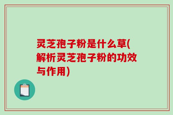 灵芝孢子粉是什么草(解析灵芝孢子粉的功效与作用)-第1张图片-破壁灵芝孢子粉研究指南 灵芝孢子粉是什么草(解析灵芝孢子粉的功效与作用)-第1张图片-破壁灵芝孢子粉研究指南