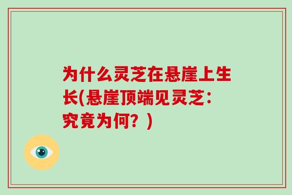 为什么灵芝在悬崖上生长(悬崖顶端见灵芝:究竟为何?)-第1张图片-破壁灵芝孢子粉研究指南 为什么灵芝在悬崖上生长(悬崖顶端见灵芝:究竟为何?)-第1张图片-破壁灵芝孢子粉研究指南
