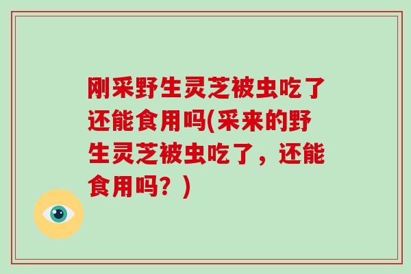 刚采野生灵芝被虫吃了还能食用吗(采来的野生灵芝被虫吃了,还能食用吗?)-第1张图片-破壁灵芝孢子粉研究指南 刚采野生灵芝被虫吃了还能食用吗(采来的野生灵芝被虫吃了,还能食用吗?)-第1张图片-破壁灵芝孢子粉研究指南