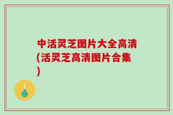 中活灵芝图片大全高清(活灵芝高清图片合集)-第1张图片-破壁灵芝孢子粉研究指南 中活灵芝图片大全高清(活灵芝高清图片合集)-第1张图片-破壁灵芝孢子粉研究指南