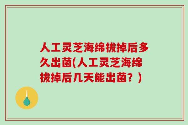 人工灵芝海绵拔掉后多久出菌(人工灵芝海绵拔掉后几天能出菌?)-第1张图片-破壁灵芝孢子粉研究指南 人工灵芝海绵拔掉后多久出菌(人工灵芝海绵拔掉后几天能出菌?)-第1张图片-破壁灵芝孢子粉研究指南