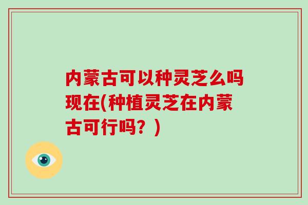 内蒙古可以种灵芝么吗现在(种植灵芝在内蒙古可行吗?)-第1张图片-破壁灵芝孢子粉研究指南 内蒙古可以种灵芝么吗现在(种植灵芝在内蒙古可行吗?)-第1张图片-破壁灵芝孢子粉研究指南