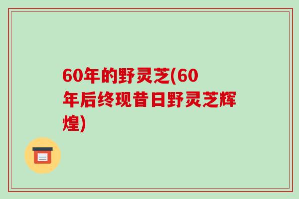 60年的野灵芝(60年后终现昔日野灵芝辉煌)-第1张图片-破壁灵芝孢子粉研究指南 60年的野灵芝(60年后终现昔日野灵芝辉煌)-第1张图片-破壁灵芝孢子粉研究指南