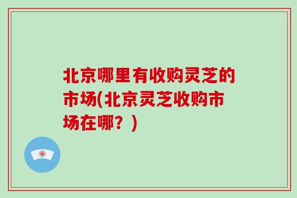 北京哪里有收购灵芝的市场(北京灵芝收购市场在哪？)-第1张图片-破壁灵芝孢子粉研究指南