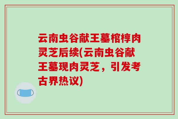 云南虫谷献王墓棺椁肉灵芝后续(云南虫谷献王墓现肉灵芝,引发考古界热议)-第1张图片-破壁灵芝孢子粉研究指南 云南虫谷献王墓棺椁肉灵芝后续(云南虫谷献王墓现肉灵芝,引发考古界热议)-第1张图片-破壁灵芝孢子粉研究指南