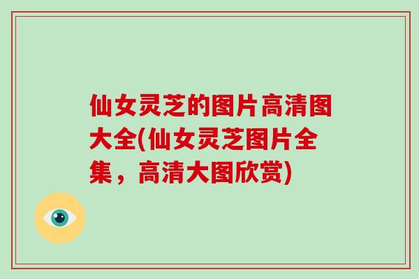 仙女灵芝的图片高清图大全(仙女灵芝图片全集,高清大图欣赏)-第1张图片-破壁灵芝孢子粉研究指南 仙女灵芝的图片高清图大全(仙女灵芝图片全集,高清大图欣赏)-第1张图片-破壁灵芝孢子粉研究指南