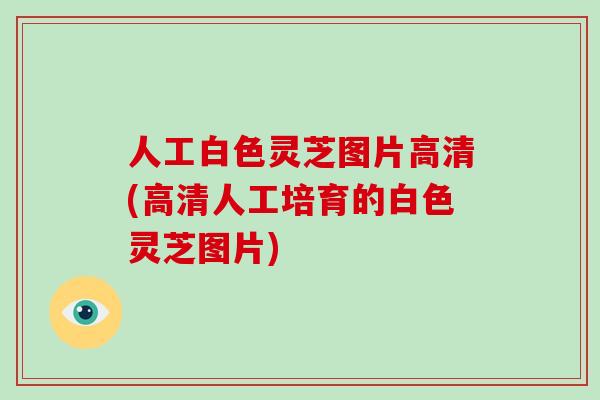 人工白色灵芝图片高清(高清人工培育的白色灵芝图片)-第1张图片-破壁灵芝孢子粉研究指南