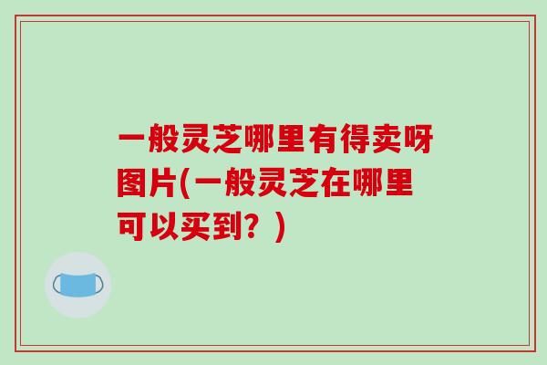 一般灵芝哪里有得卖呀图片(一般灵芝在哪里可以买到?)-第1张图片-破壁灵芝孢子粉研究指南 一般灵芝哪里有得卖呀图片(一般灵芝在哪里可以买到?)-第1张图片-破壁灵芝孢子粉研究指南