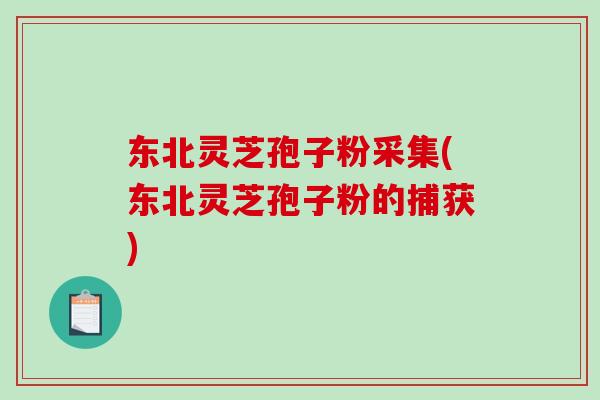 东北灵芝孢子粉采集(东北灵芝孢子粉的捕获)-第1张图片-破壁灵芝孢子粉研究指南 东北灵芝孢子粉采集(东北灵芝孢子粉的捕获)-第1张图片-破壁灵芝孢子粉研究指南