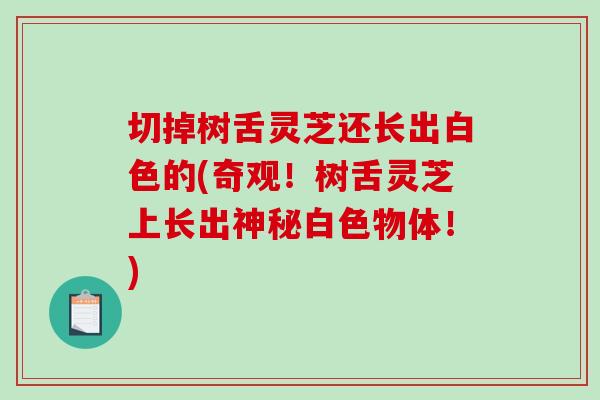 切掉树舌灵芝还长出白色的(奇观!树舌灵芝上长出神秘白色物体!)-第1张图片-破壁灵芝孢子粉研究指南 切掉树舌灵芝还长出白色的(奇观!树舌灵芝上长出神秘白色物体!)-第1张图片-破壁灵芝孢子粉研究指南