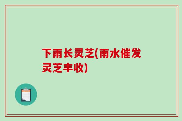 下雨长灵芝(雨水催发灵芝丰收)-第1张图片-破壁灵芝孢子粉研究指南 下雨长灵芝(雨水催发灵芝丰收)-第1张图片-破壁灵芝孢子粉研究指南