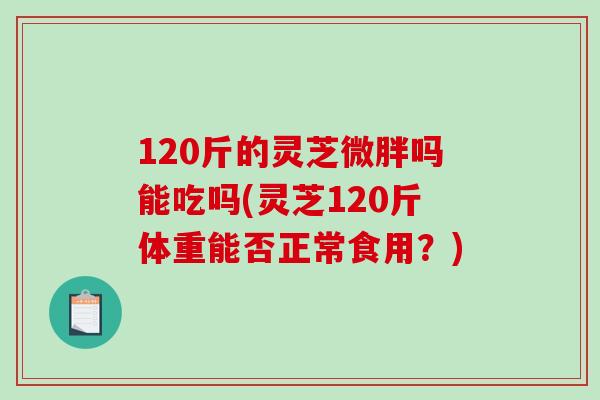 120斤的灵芝微胖吗能吃吗(灵芝120斤体重能否正常食用?)-第1张图片-破壁灵芝孢子粉研究指南 120斤的灵芝微胖吗能吃吗(灵芝120斤体重能否正常食用?)-第1张图片-破壁灵芝孢子粉研究指南