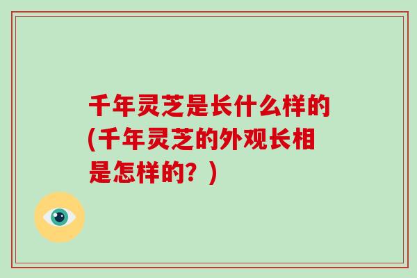 千年灵芝是长什么样的(千年灵芝的外观长相是怎样的?)-第1张图片-破壁灵芝孢子粉研究指南 千年灵芝是长什么样的(千年灵芝的外观长相是怎样的?)-第1张图片-破壁灵芝孢子粉研究指南