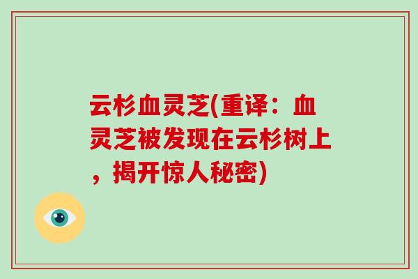 云杉血灵芝(重译：血灵芝被发现在云杉树上，揭开惊人秘密)-第1张图片-破壁灵芝孢子粉研究指南