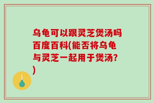 乌龟可以跟灵芝煲汤吗百度百科(能否将乌龟与灵芝一起用于煲汤？)-第1张图片-破壁灵芝孢子粉研究指南