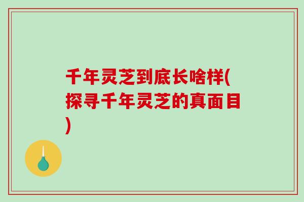 千年灵芝到底长啥样(探寻千年灵芝的真面目)-第1张图片-破壁灵芝孢子粉研究指南