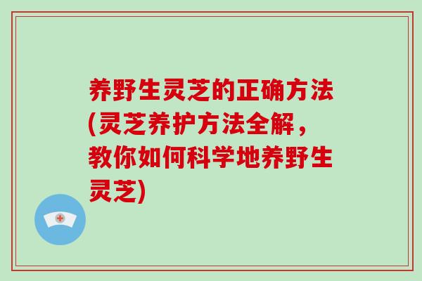养野生灵芝的正确方法(灵芝养护方法全解,教你如何科学地养野生灵芝)-第1张图片-破壁灵芝孢子粉研究指南 养野生灵芝的正确方法(灵芝养护方法全解,教你如何科学地养野生灵芝)-第1张图片-破壁灵芝孢子粉研究指南