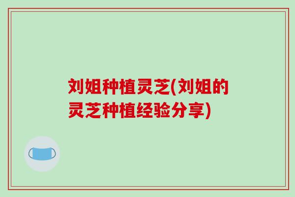 刘姐种植灵芝(刘姐的灵芝种植经验分享)-第1张图片-破壁灵芝孢子粉研究指南 刘姐种植灵芝(刘姐的灵芝种植经验分享)-第1张图片-破壁灵芝孢子粉研究指南