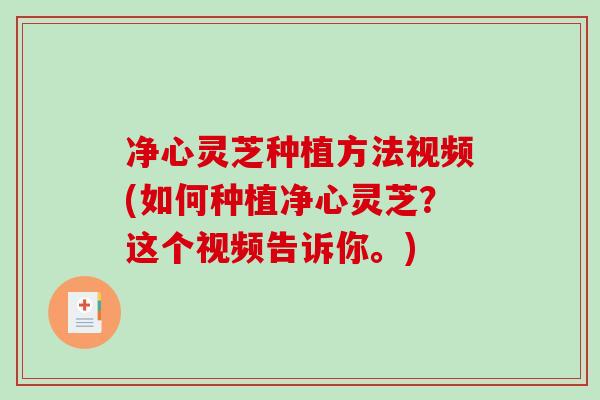 净心灵芝种植方法视频(如何种植净心灵芝?这个视频告诉你。)-第1张图片-破壁灵芝孢子粉研究指南 净心灵芝种植方法视频(如何种植净心灵芝?这个视频告诉你。)-第1张图片-破壁灵芝孢子粉研究指南