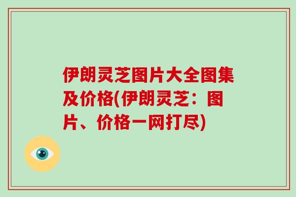 伊朗灵芝图片大全图集及价格(伊朗灵芝:图片、价格一网打尽)-第1张图片-破壁灵芝孢子粉研究指南 伊朗灵芝图片大全图集及价格(伊朗灵芝:图片、价格一网打尽)-第1张图片-破壁灵芝孢子粉研究指南
