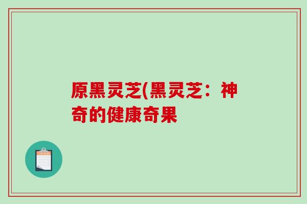 原黑灵芝(黑灵芝：神奇的健康奇果-第1张图片-破壁灵芝孢子粉研究指南