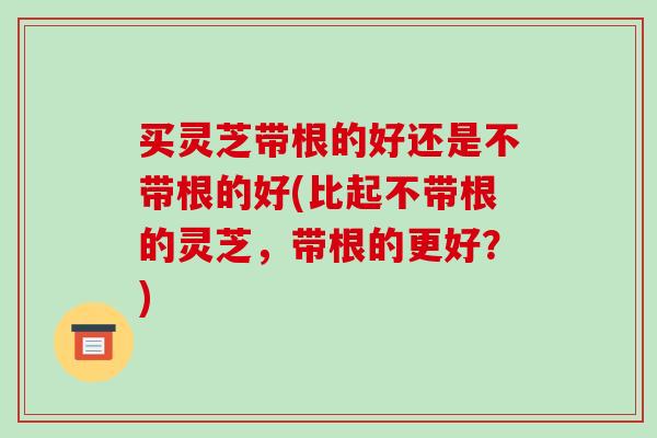 买灵芝带根的好还是不带根的好(比起不带根的灵芝，带根的更好？)-第1张图片-破壁灵芝孢子粉研究指南