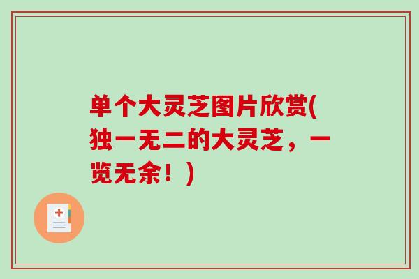 单个大灵芝图片欣赏(独一无二的大灵芝，一览无余！)-第1张图片-破壁灵芝孢子粉研究指南