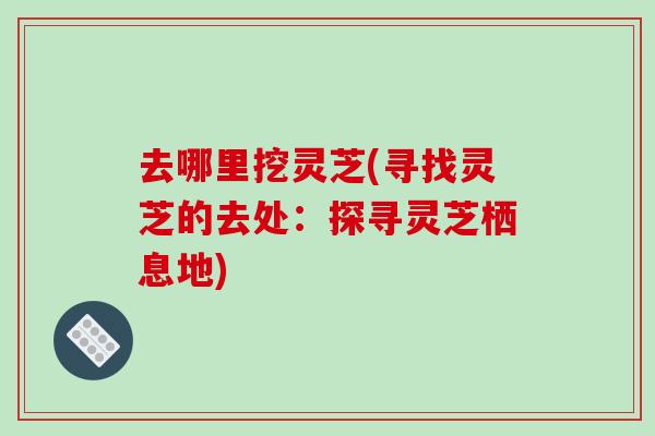 去哪里挖灵芝(寻找灵芝的去处:探寻灵芝栖息地)-第1张图片-破壁灵芝孢子粉研究指南 去哪里挖灵芝(寻找灵芝的去处:探寻灵芝栖息地)-第1张图片-破壁灵芝孢子粉研究指南